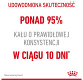 Royal Canin Digestive Care karma mokra w sosie dla kotów dorosłych, wrażliwy przewód pokarmowy saszetka 85g