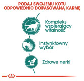 Royal Canin Instinctive +7 w sosie karma mokra dla kotów starszych, wybrednych saszetka 85g