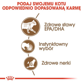 Royal Canin Ageing +12 karma mokra w sosie dla kotów dojrzałych saszetka 85g