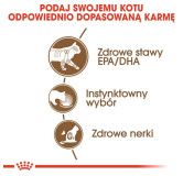 Royal Canin Ageing +12 karma mokra w sosie dla kotów dojrzałych saszetka 85g