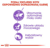 Royal Canin Sterilised w sosie karma mokra dla kotów dorosłych, sterylizowanych saszetka 85g