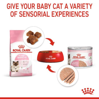 Royal Canin Mother & Babycat Mousse karma mokra - mus dla kociąt i kotek karmiących puszka 195g