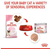 Royal Canin Mother & Babycat Mousse karma mokra - mus dla kociąt i kotek karmiących puszka 195g