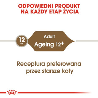 Royal Canin Ageing +12 karma mokra w galaretce dla kotów dojrzałych saszetka 85g