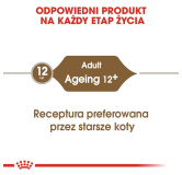 Royal Canin Ageing +12 karma mokra w galaretce dla kotów dojrzałych saszetka 85g