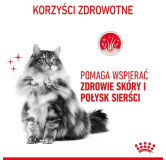 Royal Canin Hair & Skin Care karma mokra w galaretce dla kotów dorosłych, lśniąca sierść i zdrowa skóra saszetka 85g