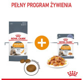 Royal Canin Hair & Skin Care karma mokra w galaretce dla kotów dorosłych, lśniąca sierść i zdrowa skóra saszetka 85g