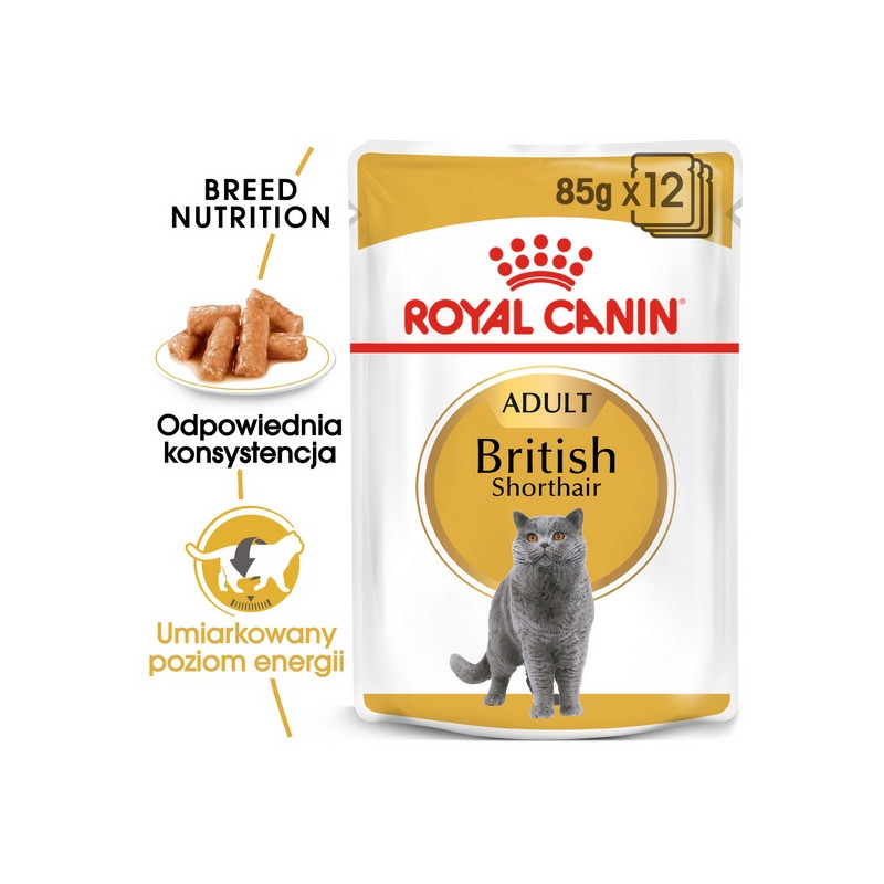 Royal Canin British Shorthair karma mokra w sosie dla kotów dorosłych rasy brytyjski krótkowłosy saszetka 85g