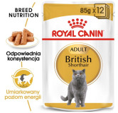 Royal Canin British Shorthair karma mokra w sosie dla kotów dorosłych rasy brytyjski krótkowłosy saszetka 85g