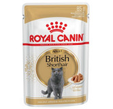 Royal Canin British Shorthair karma mokra w sosie dla kotów dorosłych rasy brytyjski krótkowłosy saszetka 85g