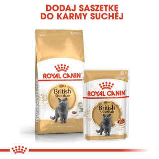 Royal Canin British Shorthair karma mokra w sosie dla kotów dorosłych rasy brytyjski krótkowłosy saszetka 85g