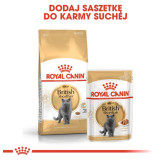 Royal Canin British Shorthair karma mokra w sosie dla kotów dorosłych rasy brytyjski krótkowłosy saszetka 85g