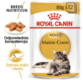 Royal Canin Maine Coon karma mokra w sosie dla kotów dorosłych rasy maine coon saszetka 85g