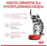 Royal Canin Kitten Sterilised karma mokra w galaretce dla kociąt od 6 do 12 miesiąca życia, sterylizowanych saszetka 85g