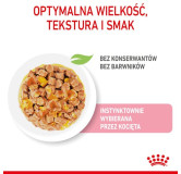 Royal Canin Kitten Sterilised karma mokra w galaretce dla kociąt od 6 do 12 miesiąca życia, sterylizowanych saszetka 85g