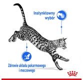 Royal Canin Indoor Sterilised sos karma mokra dla kotów dorosłych sterylizowanych, przebywających w domu saszetka 85g