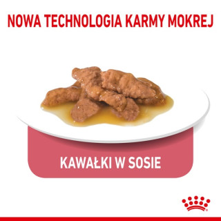 Royal Canin Indoor Sterilised sos karma mokra dla kotów dorosłych sterylizowanych, przebywających w domu saszetka 85g