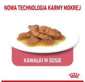 Royal Canin Indoor Sterilised sos karma mokra dla kotów dorosłych sterylizowanych, przebywających w domu saszetka 85g