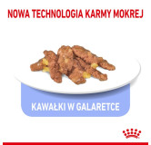 Royal Canin Indoor Sterilised Jelly karma mokra dla kotów dorosłych sterylizowanych, przebywających w domu saszetka 85g