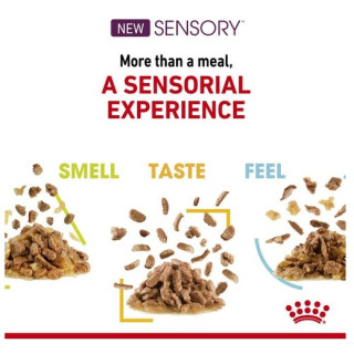 Royal Canin Sensory Feel w sosie karma mokra dla kotów dorosłych saszetka 85g