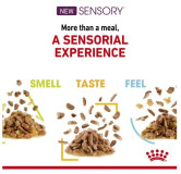 Royal Canin Sensory Feel w sosie karma mokra dla kotów dorosłych saszetka 85g