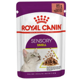 Royal Canin Sensory Smell w sosie karma mokra dla kotów dorosłych saszetka 85g