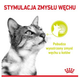 Royal Canin Sensory Smell w sosie karma mokra dla kotów dorosłych saszetka 85g