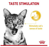 Royal Canin Sensory Taste w sosie karma mokra dla kotów dorosłych saszetka 85g