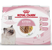 Royal Canin Feline Kitten Multipack karma mokra dla kociąt do 12 miesiąca życia saszetki 4x85g