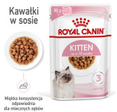 Royal Canin Feline Kitten Multipack karma mokra dla kociąt do 12 miesiąca życia saszetki 4x85g