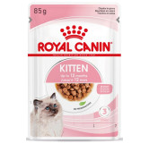 Royal Canin Feline Kitten Multipack karma mokra dla kociąt do 12 miesiąca życia saszetki 4x85g