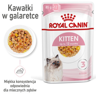 Royal Canin Feline Kitten Multipack karma mokra dla kociąt do 12 miesiąca życia saszetki 4x85g