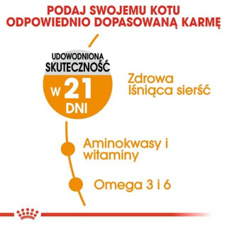 Royal Canin Hair&Skin Care karma mokra w galaretce dla kotów dorosłych, lśniąca sierść i zdrowa skóra saszetka 85g