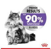 Royal Canin Appetite Control Care karma mokra w sosie dla kotów dorosłych, domagających się jedzenia saszetka 85g