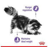 Royal Canin Appetite Control Care karma mokra w sosie dla kotów dorosłych, domagających się jedzenia saszetka 85g