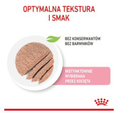 Royal Canin Kitten pasztet (loaf) karma mokra dla kociąt do 12 miesiąca życia saszetka 85g