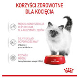 Royal Canin Kitten pasztet (loaf) karma mokra dla kociąt do 12 miesiąca życia saszetka 85g