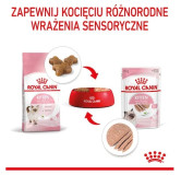 Royal Canin Kitten pasztet (loaf) karma mokra dla kociąt do 12 miesiąca życia saszetka 85g