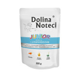 Dolina Noteci Premium JUNIOR bogata w jagnięcinę saszetka 10x300 g