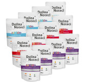 DOLINA NOTECI JUNIOR mix smaków 12x300g