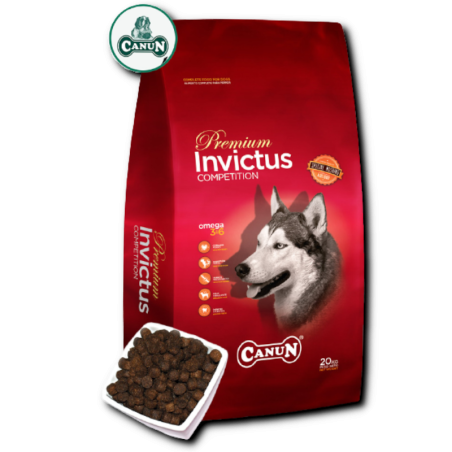 PRÓBKA Canun Invictus z jagnięciną 60g