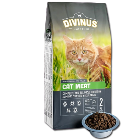 PRÓBKA Divinus Cat Meat 100g