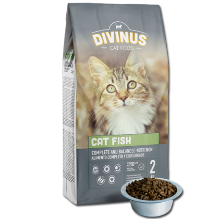 PRÓBKA Divinus Cat Fish 100g