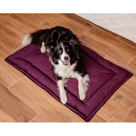 MIMIKO Pets Mata Velvet 100x70cm śliwka