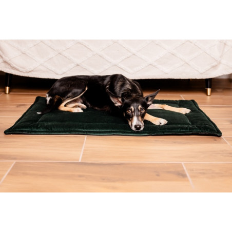 MIMIKO Pets Mata Velvet 100x70cm butelkowa zieleń