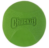 Chuckit! Erratic Ball Medium [201101]