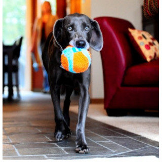 Chuckit! Indoor Ball [213201]