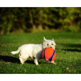 Chuckit! Kick Fetch Large [251201]