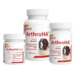 Arthro HA 90 tabletek