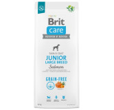 Brit Care Grain Free Junior Large Breed Salmon 12kg